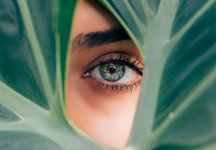 Wellness Focus with Manual Lymphatic Drainage